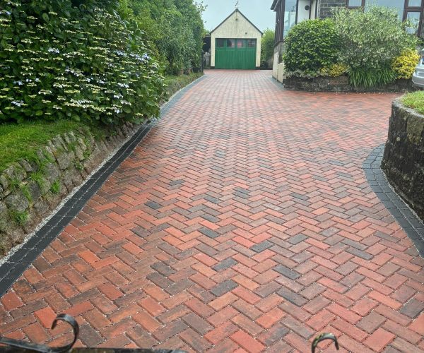 451662291_1039189071544603_131780133213596866_n